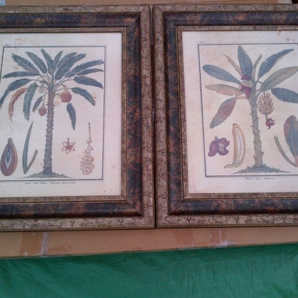 NEW SET OF PALM TREE PRINTS IN CARVED WOOD FRAMES - Picture 3 of 3